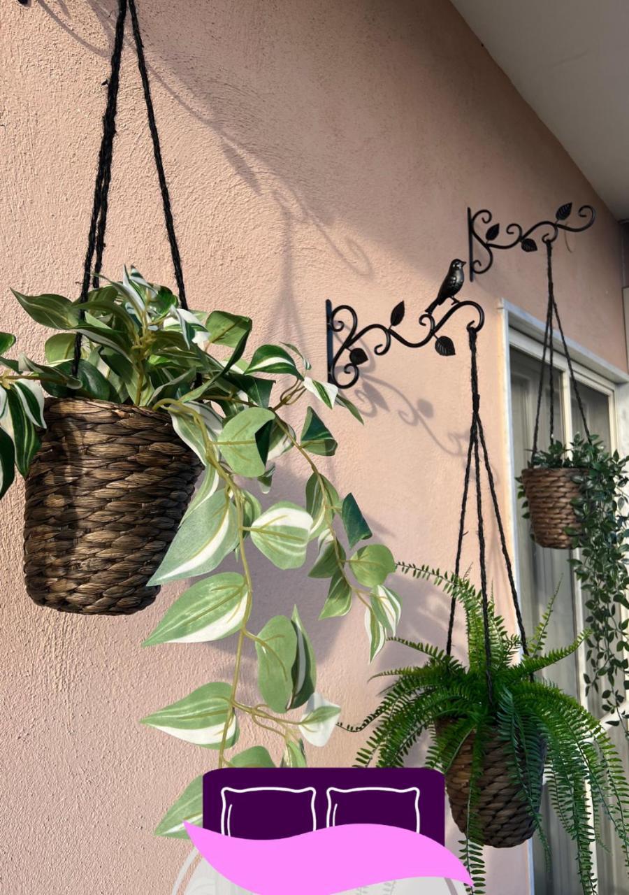 B&B Anastasia Pompéi Extérieur photo